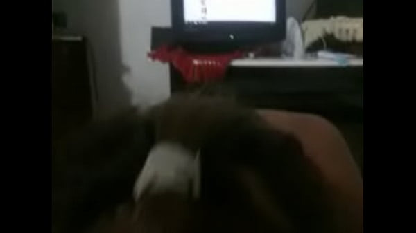 Bd Xxx Video Gf Bf