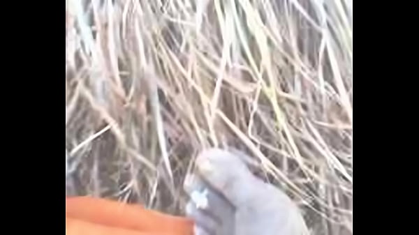 Tamil Hairy Pussy